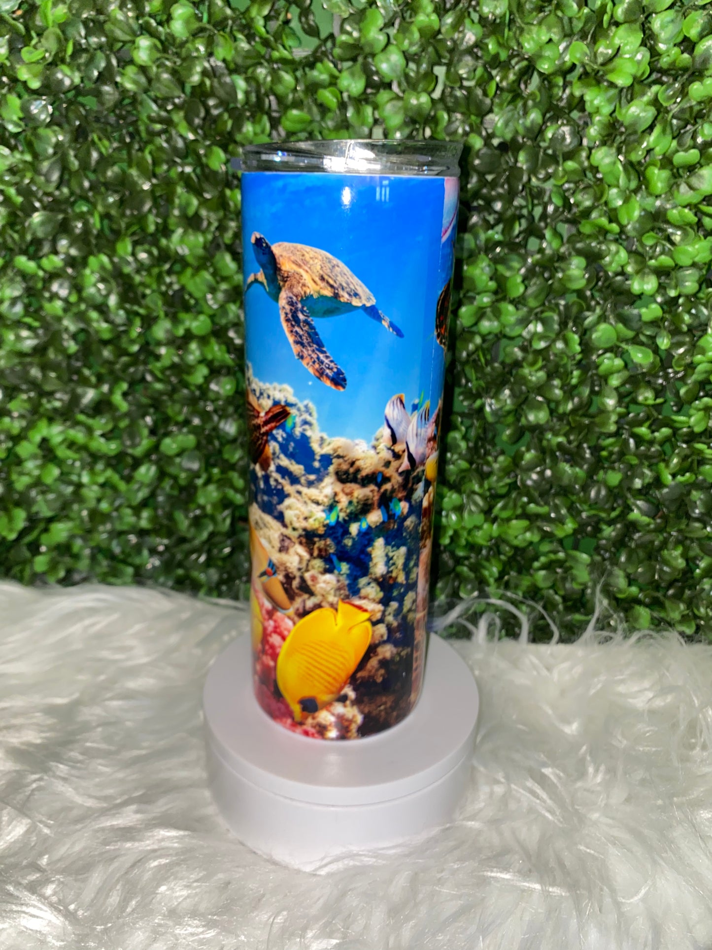 Aquarium Tumbler